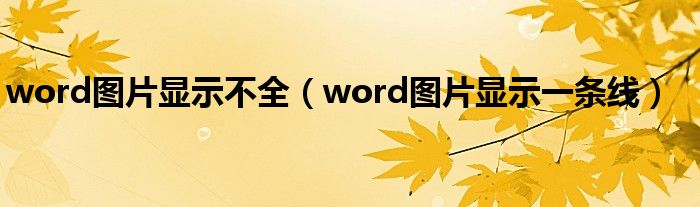 word图片显示不全（word图片显示一条线）