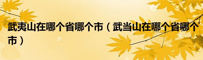 武夷山在哪个省哪个市（武当山在哪个省哪个市）