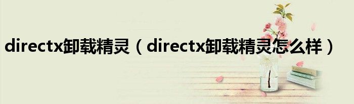 directx卸载精灵（directx卸载精灵怎么样）