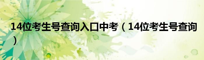 14位考生号查询入口中考（14位考生号查询）