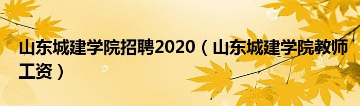 山东城建学院招聘2020（山东城建学院教师工资）