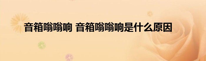 音箱嗡嗡响 音箱嗡嗡响是什么原因