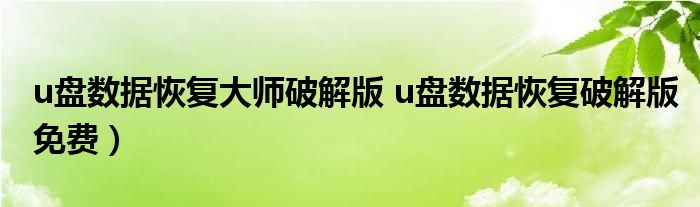 u盘数据恢复大师破解版 u盘数据恢复破解版免费）