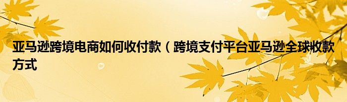亚马逊跨境电商如何收付款（跨境支付平台亚马逊全球收款方式