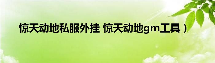 惊天动地私服外挂 惊天动地gm工具）