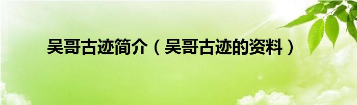 吴哥古迹简介（吴哥古迹的资料）