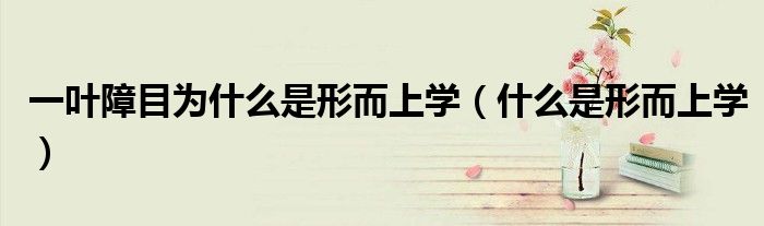 一叶障目为什么是形而上学（什么是形而上学）