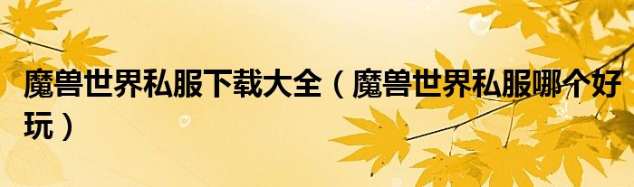 魔兽世界私服下载大全（魔兽世界私服哪个好玩）
