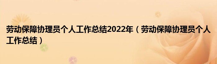 劳动保障协理员个人工作总结2022年（劳动保障协理员个人工作总结）