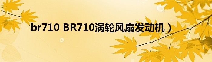 br710 BR710涡轮风扇发动机）