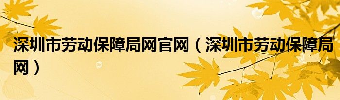 深圳市劳动保障局网官网（深圳市劳动保障局网）