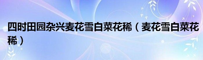 四时田园杂兴麦花雪白菜花稀（麦花雪白菜花稀）