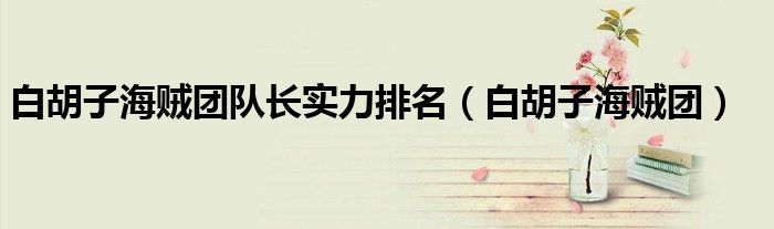 白胡子海贼团队长实力排名（白胡子海贼团）