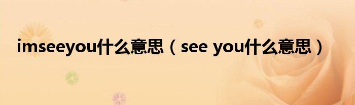 imseeyou什么意思（see you什么意思）