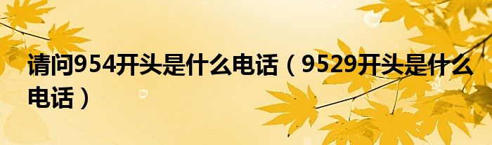 请问954开头是什么电话（9529开头是什么电话）