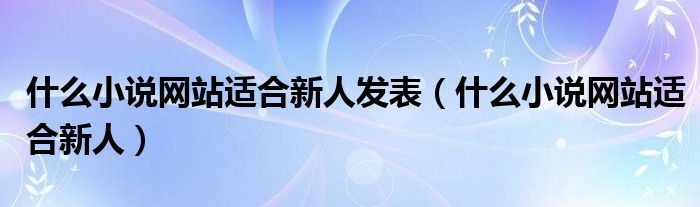 什么小说网站适合新人发表（什么小说网站适合新人）