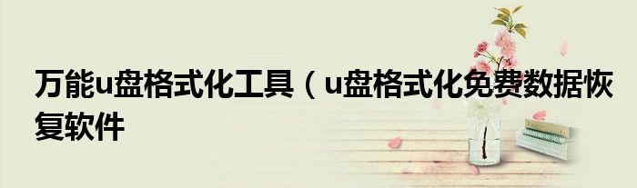 万能u盘格式化工具（u盘格式化免费数据恢复软件