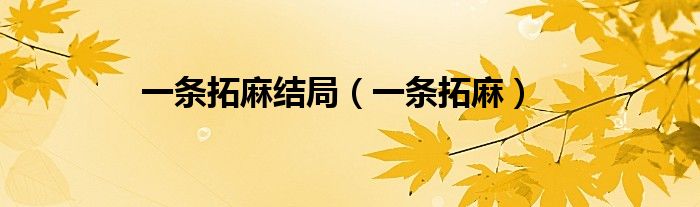 一条拓麻结局（一条拓麻）
