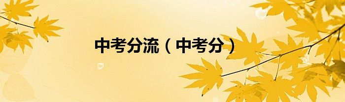 中考分流（中考分）