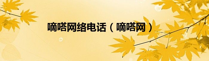 嘀嗒网络电话（嘀嗒网）