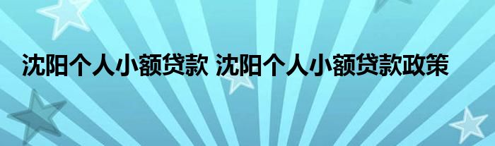 沈阳个人小额贷款 沈阳个人小额贷款政策