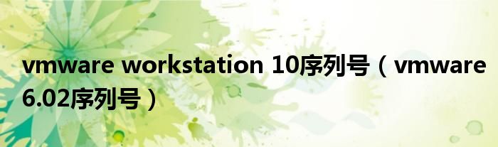 vmware workstation 10序列号（vmware6.02序列号）