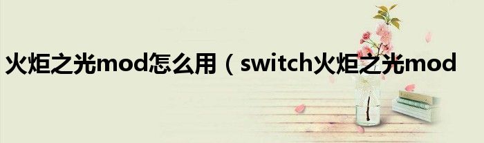 火炬之光mod怎么用（switch火炬之光mod