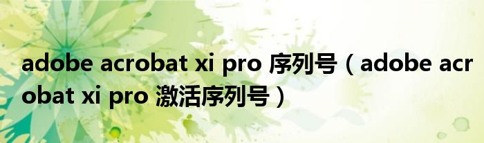 adobe acrobat xi pro 序列号（adobe acrobat xi pro 激活序列号）