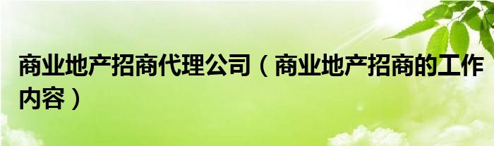 商业地产招商代理公司（商业地产招商的工作内容）