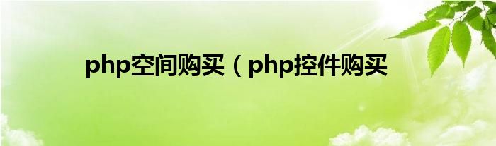 php空间购买（php控件购买