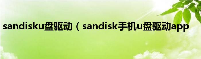 sandisku盘驱动（sandisk手机u盘驱动app