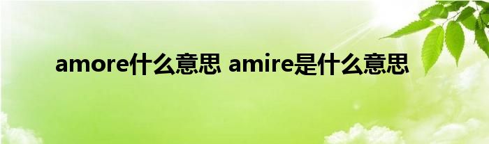 amore什么意思 amire是什么意思