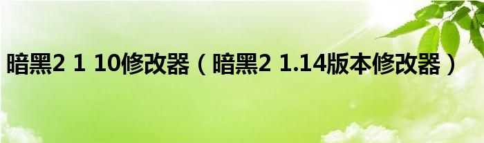 暗黑2 1 10修改器（暗黑2 1.14版本修改器）