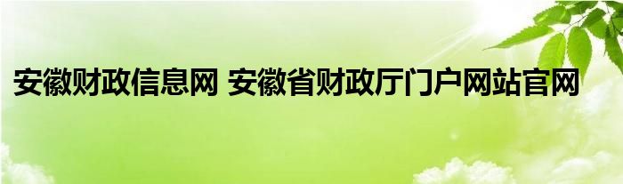 安徽财政信息网 安徽省财政厅门户网站官网