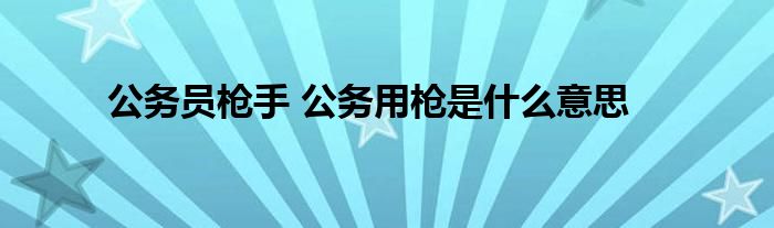 公务员枪手 公务用枪是什么意思