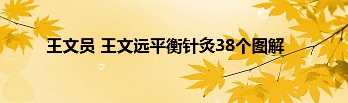 王文员 王文远平衡针灸38个图解