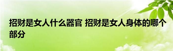 招财是女人什么器官 招财是女人身体的哪个部分