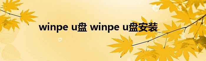 winpe u盘 winpe u盘安装