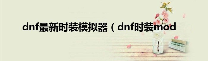 dnf最新时装模拟器（dnf时装mod