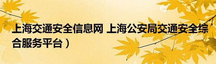 上海交通安全信息网 上海公安局交通安全综合服务平台）