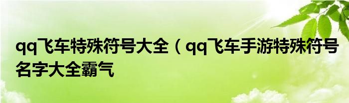 qq飞车特殊符号大全（qq飞车手游特殊符号名字大全霸气