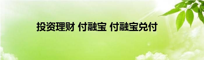 投资理财 付融宝 付融宝兑付