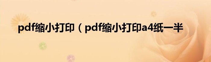 pdf缩小打印（pdf缩小打印a4纸一半