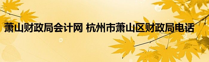 萧山财政局会计网 杭州市萧山区财政局电话