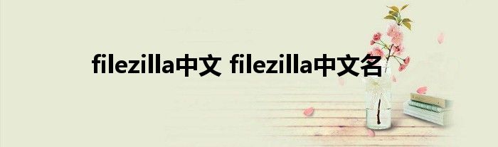 filezilla中文 filezilla中文名