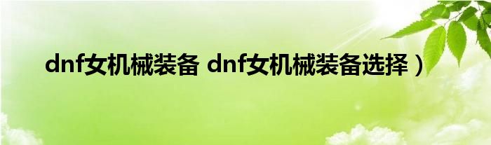 dnf女机械装备 dnf女机械装备选择）