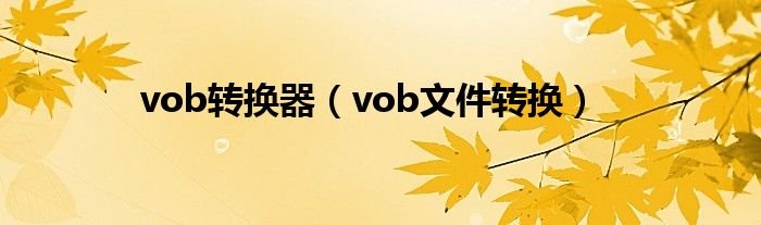 vob转换器（vob文件转换）