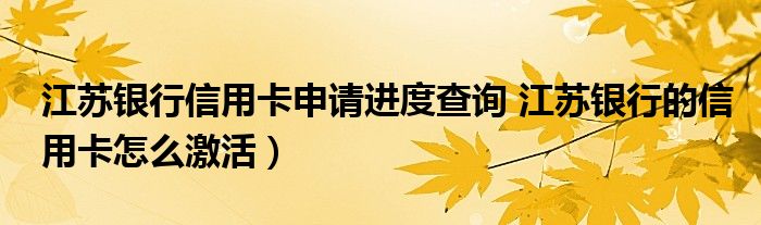 江苏银行信用卡申请进度查询 江苏银行的信用卡怎么激活）