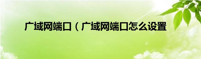 广域网端口（广域网端口怎么设置