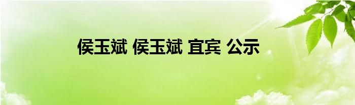 侯玉斌 侯玉斌 宜宾 公示